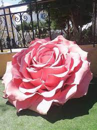 The rose is harvested when it is at its best. Extra Large Rose Super Giant Rich In Petals And Very Tall For Any Event Decor In Eva Foam In 2021 Giant Flowers Amazing Flowers Rose