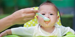 Inspirasi Jadwal Makan Bayi 6 Bulan Dan Tips Suksesnya