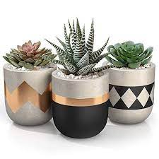 Amazon Com 3 Inch Small Succulent Pots With Drainage Set Of 3 Concrete Planter Pots For Succulent Plants Cement Flower Pots Plant Pot Design Plant Pot Diy