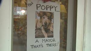 Rabbit Hash Mayoral Election Is Going To The Dogs Wkrc