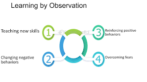 Image result for Behavior Modification
