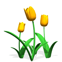 Tanaman bunga merupakan salah satu makhluk hidup yang memiliki rupa yang cantik, dan sebagian besar memiliki wangi yang harum. Gambar Animasi Bunga Tulip Bergerak Animasi Bunga Tulip Efullama Gambar Animasi Bunga Mawar Wiring Diagram Database Wallpaper Bunga Bergerak Terbaru Walfaf