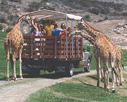 Visiting California Los Angeles And San Diego At Home Memphis San Diego Zoo Safari Park San Diego Zoo San Diego Travel