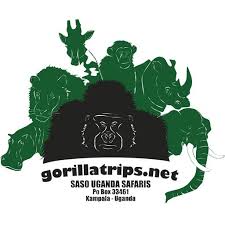 Image result for Oubanguia africana