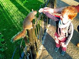 Here are free and affordable online resources for parents. 8 Totally Awesome Things To Do In London With Toddlers Merry Go Round Slowly