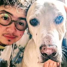 Kia Sportage XL engine rebuild or replacement shops?