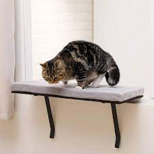 Today on pet parent life hacks, we're making a cat window perch — pirate style. Amazon Com Sweetgo Cat Window Perch Mounted Shelf Bed For Cat Funny Sleep Diy Kitty Sill Window Perch Washable Foam Cat Seat Grey Pet Supplies