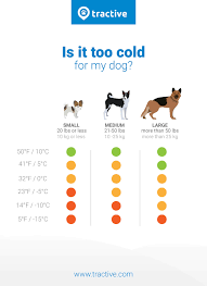 Dogs And Cold Weather Beware Of This Tractive