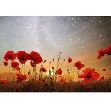 We are internet sales professionals and our livelihood depends on providing great service to return customers. Buy Diamond Embroidery 5d Diy Diamond Painting Wild Poppy Flower Cross Stitch Kits Mosaic Pattern Resin Drill Picture At Affordable Prices Free Shipping Real Reviews With Photos Joom