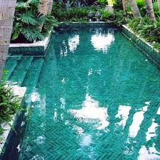 Top 60 Best Home Swimming Pool Tile Ideas Backyard Oasis Designs Swimming Pool House Swimming Pools Backyard Mosaic Pool