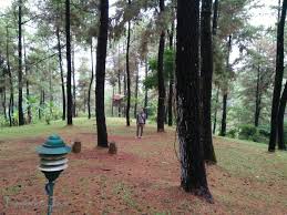 We did not find results for: Rumah Pohon Taman Dayu