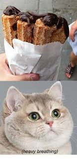 We did not find results for: 45 Heavy Breathing Cat Ideas Heavy Breathing Cat Heavy Breathing Funny Memes