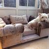 These many pictures of costco kirkland dog bed list may become your inspiration and informational purpose. 1
