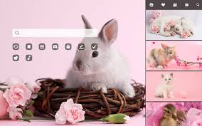 So many different kinds of hearts, colors, and shapes, oh my! Cute Baby Animals Hd Wallpaper New Tab Theme