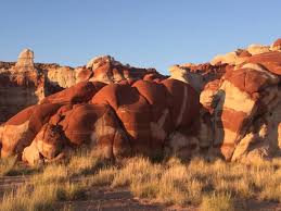 The 5 Best Things To Do In Tuba City (2024) - Must-See Attractions