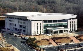 배구