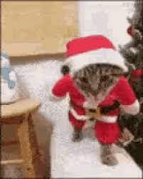 Merry Christmas Gif Funny Funny Happy Xmas Gifs Tenor