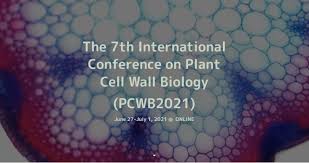 A cell wall is a fairly rigid layer surrounding, outside the cell membrane, the cells of plants and certain bacteria, archaea (archaebacteria), fungi, and algae. Two Awards For Our Glycan Designers Leibniz Institut Fur Pflanzenbiochemie