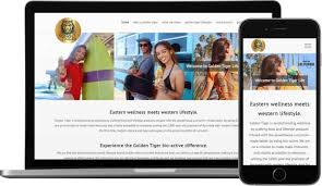 Looking for somewhere to waste time? Golden Tiger Life Health And Wellness Website Design Branding Package Design Jenn David Design