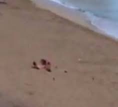 Da Barcellona a Gallipoli, è lestate cafona - Corriere.it