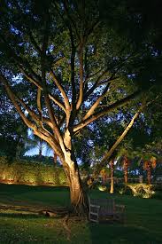 Uplighting Large Trees Garden Lighting Design Outdoor Lighting Landscape Outdoor Landscape Lighting