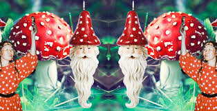 Shop mushroom greeting cards from cafepress. Santa Is A Psychedelic Mushroom The Ancient Connection Between Christmas And Shamans Live Learn Evolve