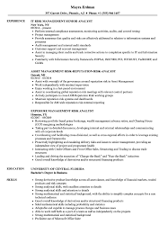 We are currently seeking a vendor risk management analyst for our client in the financial services domain. Risk Analyst Risk Management Resume Samples Velvet Jobs
