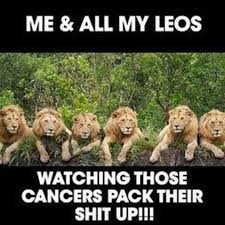 Birthday Coming Up Meme Leo Leo Season Is Coming Leo Leo Leoseasoniscoming Bday Monthlongcelebration Weekendmode Summ Leo Season Leo Zodiac Facts Leo Season Memes