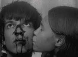 Meredith Nolan (mernolan)