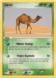 Anyone can have their opinion on pokemon that look like godzilla, but here's mine. Pokemon Camel 56