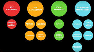 Crucial Competence Emotional And Social Intelligence In Leadership Emotions Leadership Life Coach Certification