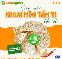 Chuyển giao công nghệ khoai môn sấy tẩm vị tỏi ớt ngon đậm đà
