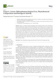 Image result for Tragia grandistipularis