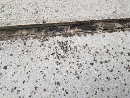 Es gibt in der drogerie unmengen an verschiedenen putzmitteln, dass man meinen könnte, dafür studiert haben ein gute alternative sind auch hausmittel, um flecken auf teppichen zu entfernen. Schwarze Flecken Auf Terrassenplatten Wie Entfernen