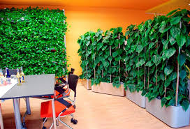 Hier gibt es neuwagen, gebrauchtwagen, youngtimer, oldtimer, kleinwagen und. Grune Wand Raffinierter Blickfang Fur Die Wohnung Bauen De