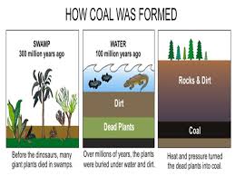 Revision Notes For Science Chapter 5 Coal And Petroleum