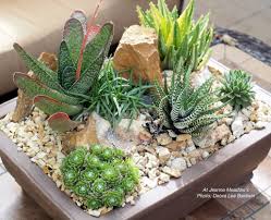 Make A Low Light Scooped From The Garden Succulent Arrangement Succulents And Succulent Garden De Succulent Garden Design Dish Garden Succulent Garden Diy