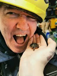 De er kalt verdens lykkeligste dyr. Vi Har Inne Verdens Soteste Skilpadde Mo Dyr Og Utstyr Facebook