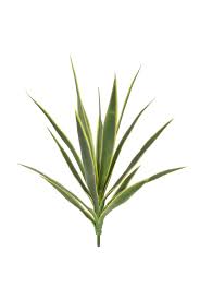 Shop the best selection for uv protected and water resistant fake outdoor plants at afloral.com. Artificial Yucca Plant The Artificial Plants Shop