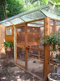 Although ducks make terrific backyard pets, it is important to consider a few factors before making a commitment to keeping them. Backyard Pets Archives Edeenut Creates
