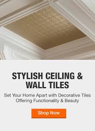 Includes vaulted, cathedral, beamed, dome, tray, coffered, shed, groin vault, and more. Ceilings The Home Depot