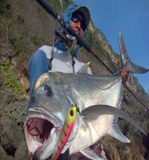Tips memancing ikan nila sebenarnya hampir sama dengan yang diterapkan pada ikan lain di air tawar. 18 Teknik Mancing Ikan Bagi Pemula Yang Wajib Di Ketahui