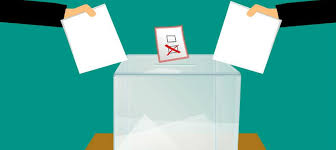 Los tallos tienen cordones de fibras largas y fuertes, los bejucos crecen de una cepa permanente y duran de uno a dos a Que Es La Consulta Anticorrupcion A Colombia La Hacemos Todos