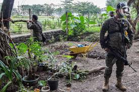 Did you join forces with soldiers of those lands to face a shared threat? M4dxcuemnuc3lm