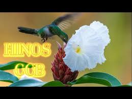 Congregação cristã no brasil 6 é a primeira igreja evangélica de matriz pentecostal nota 1 1 a ser fundada no brasil. Ccb Hinos Cantados 2020
