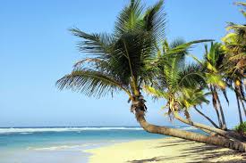 J'ai réellement détesté vivre à la havane! La Meilleure Periode Pour Aller A Cuba