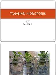 We did not find results for: Tanaman Hidroponik