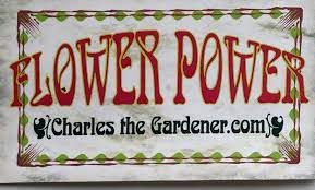 20% off all flower deliveries! Flower Power U Pick Metchosin Online