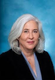 Guidelines for 2024 Chief FOIA Officer Reports Public Meeting Thursday,  November 9, 2023