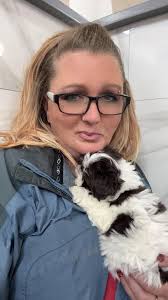 best christmas present i could have asked for 💙 meet dewey!!